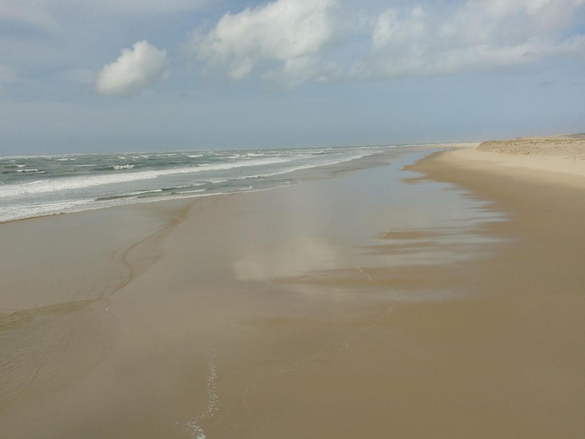 Charmant Appartement Pour 6 En Centre-Ville D'Arcachon Avec Terrasse, Parking Et Wifi - Fr-1-474-174 Εξωτερικό φωτογραφία